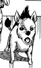 SOYwasuke