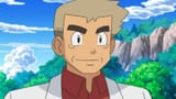_110874318_professoroak