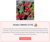 sexy cactus according to ai