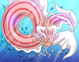 shirahoshi_by_samukari_dd897tw-pre