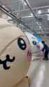 403_net_1934775125028810764_video_part_1_thumb.jpg