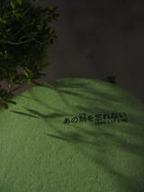 Japan_Trip_(2271)