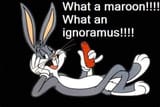 FB_IMG_1726457656783