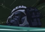quacks z&#039;gok