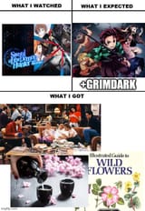 sotds