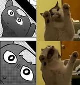 1656547953731