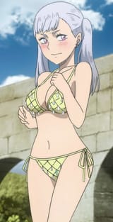 noelleswimsuit
