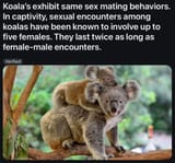 Watanare