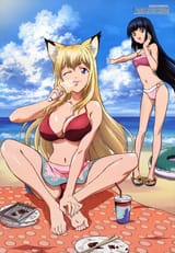 yande.re 32192 animal_ears bikini cleavage feet kitsune kou satou_taka swimsuits tenko_kuugen wagaya_no_oinari-sama