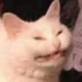 400