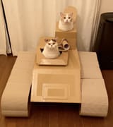 defense