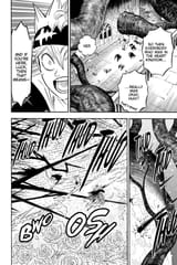Black Clover - c294 (v30) - p034 [dig] [VIZ Media] [DigitalMangaFan]