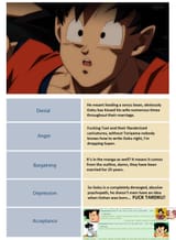 The 5 stages