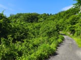 sp ogi path