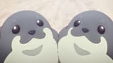 vlcsnap-2025-06-17-14h29m17s434