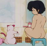 Cat Shampoo &amp; Akane