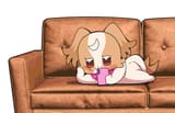 Komugi chilling on the couch