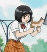 catgun