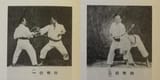 Okinawan Boxing