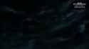 1739320110091_thumb.jpg