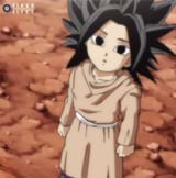 Smol Caulifla