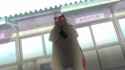 1749654760945570_thumb.jpg