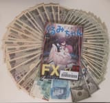 Fx Senshi 8