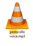 pintar voice