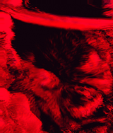 1645627889085