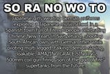snw_summary