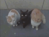 surprise