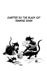 RIN-NE - c110 (v12) - p025 [dig] [The Black Cat Ranking Exam] [VIZ Media] [danke-Empire]