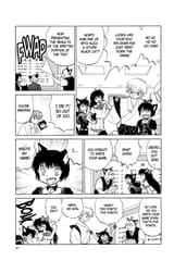RIN-NE - c110 (v12) - p031 [dig] [The Black Cat Ranking Exam] [VIZ Media] [danke-Empire]