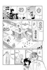 RIN-NE - c110 (v12) - p032 [dig] [The Black Cat Ranking Exam] [VIZ Media] [danke-Empire]