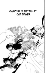 RIN-NE - c111 (v12) - p043 [dig] [Battle at Cat Tower] [VIZ Media] [danke-Empire]