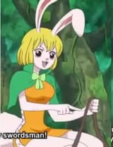 carrot summarizes zoro&#039;s character