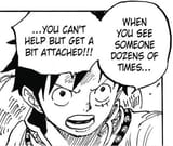 thank you Luffy