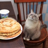 catcake
