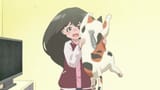 Me.and.the.Alien.MuMu.S01E09.MuMu.and.the.TV.1080p.AMZN.WEB-DL.JPN.DDP2.0.H.264.ESub-ToonsHub.mkv2025-06-10-04h34m33s556