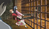 no tama