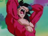 NEGAAAAAAAAA NEGAAAAAAAAA