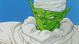 piccolo