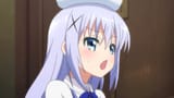 Chino(334)