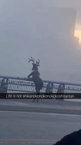 1729717605077612