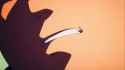 1722027339805598_thumb.jpg