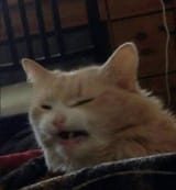 1702321028176722