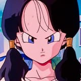 Angry Videl