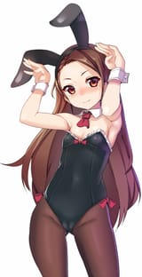 iori bunny