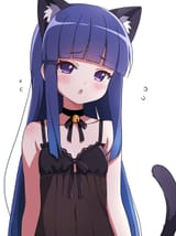 idol cat
