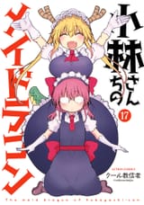volume 17